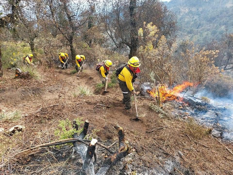 Prevé CONAFOR disminución de incendios forestales durante el 2024