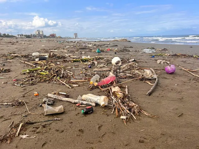 Tras vacaciones, microplásticos y basura invaden playas de Coatza