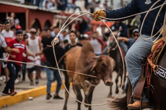 ¡No maltrates a los toros! Así te podrían multar en Tlacotalpan