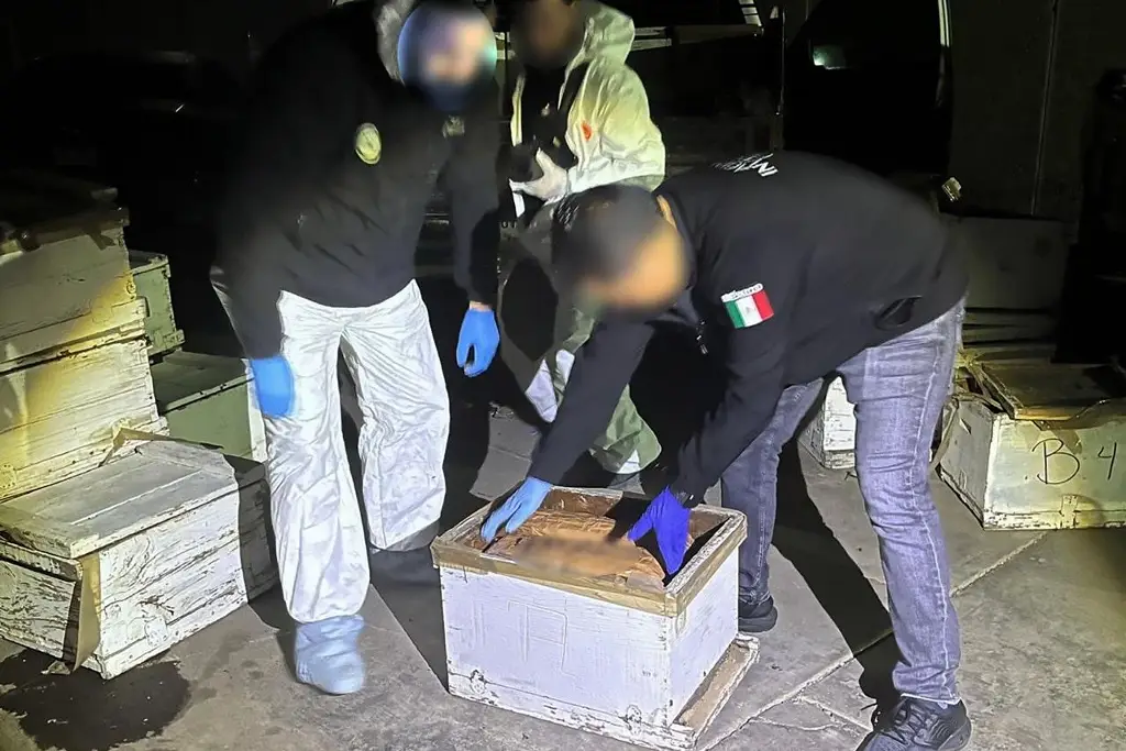 Aseguran más de un millón de pastillas de fentanilo ocultas en panales de abejas