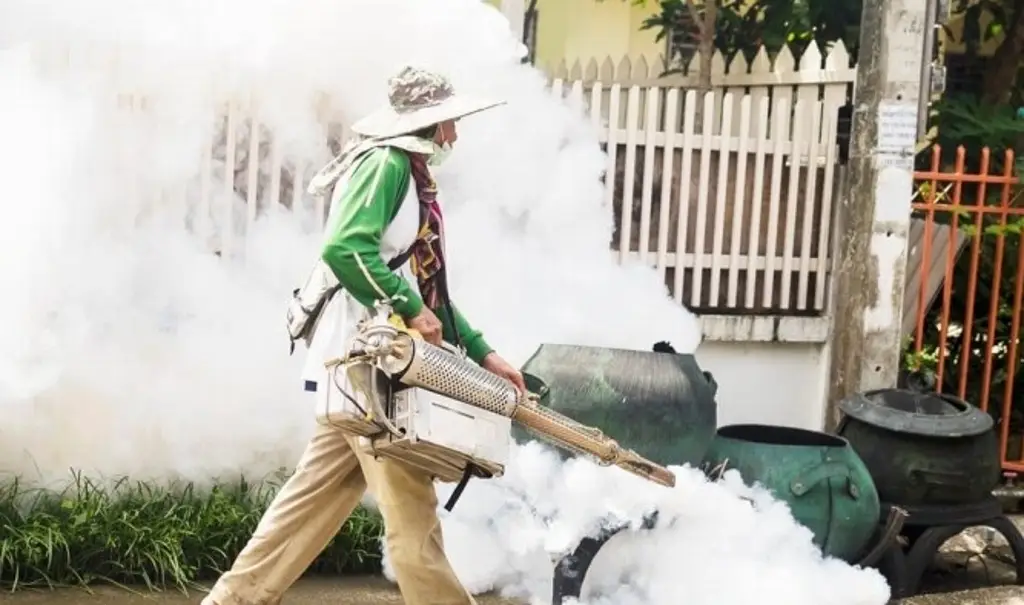 Suman más de 250 casos de dengue en el estado de Veracruz en 2024