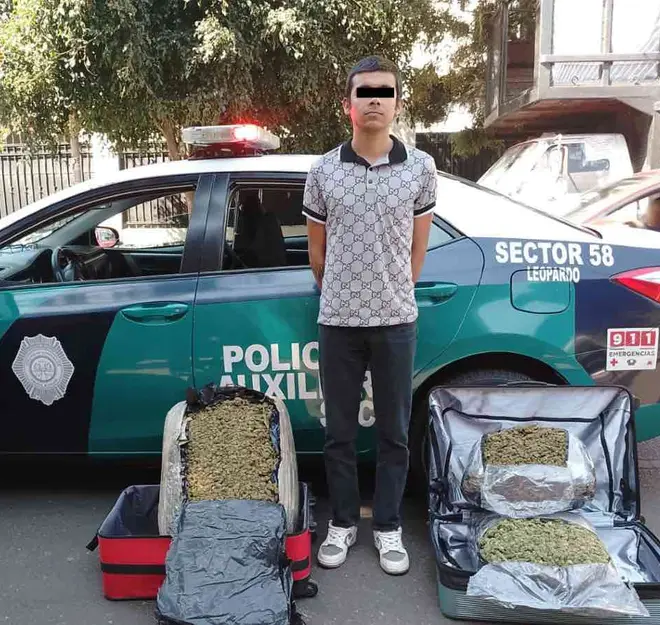 Detienen a sujeto que pretendía viajar con 20 kilos de marihuana en la TAPO