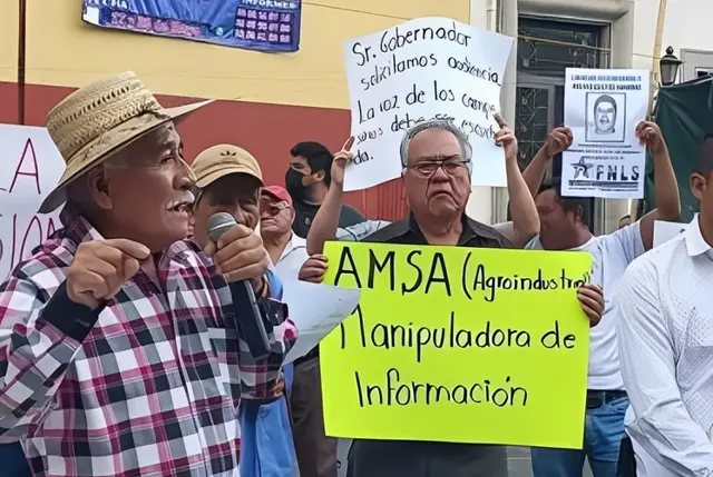 Cafetaleros no deben temer: AMLO sobre conflicto con AMSA