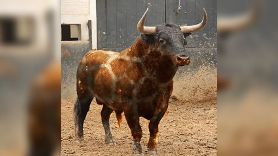 «Salvemos a Benito» convoca a manifestación para frenar las corridas de toros en México