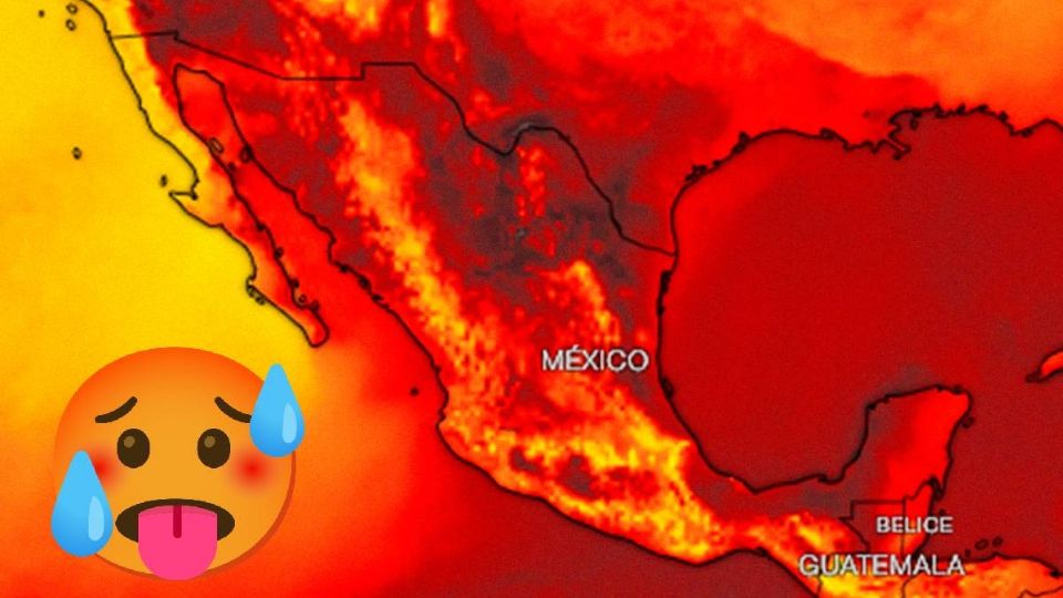 Ola de Calor ¿Cuándo azotará a México y cómo protegerse? Alertan por temperaturas de 40 grados