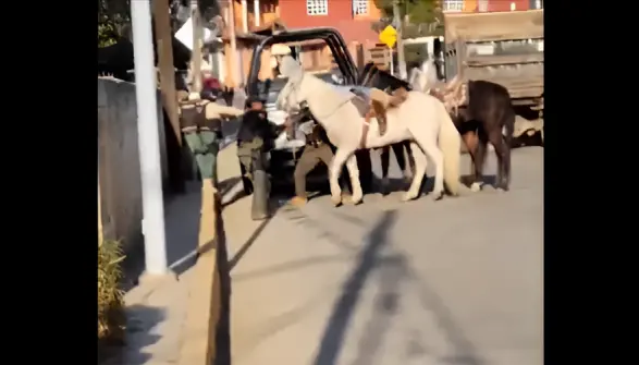 Captan a policías estatales golpeando a jinete en Veracruz