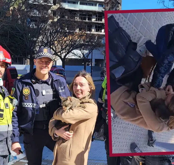 Mujer llora al reencontrarse con su ‘michi’ tras incendio de edificio en Valencia