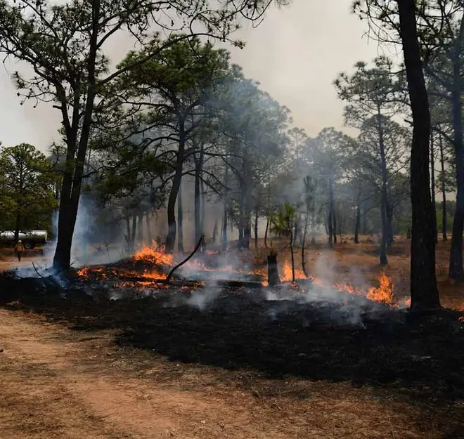 Tres incendios afectan a Acapulco; vientos complican el combate al fuego