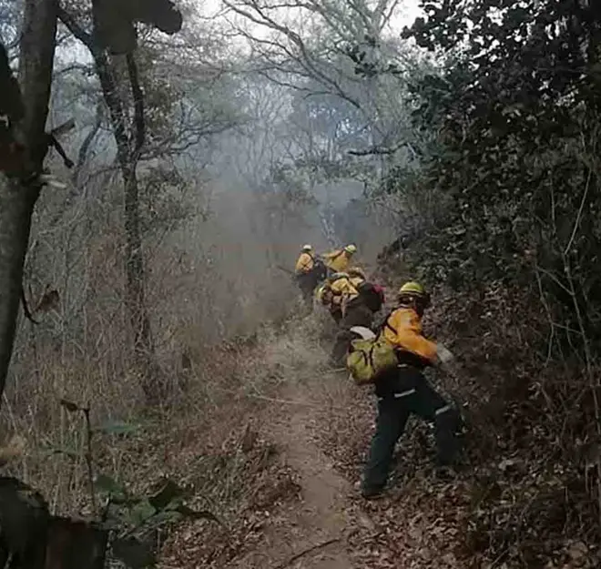 Conafor registra 25 incendios forestales activos; 8 de ellos en Guerrero