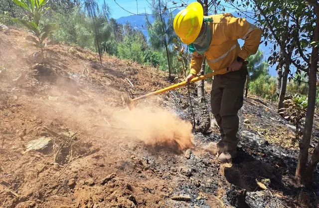 Denunciarán a quienes reactiven incendios en Las Altas Montañas