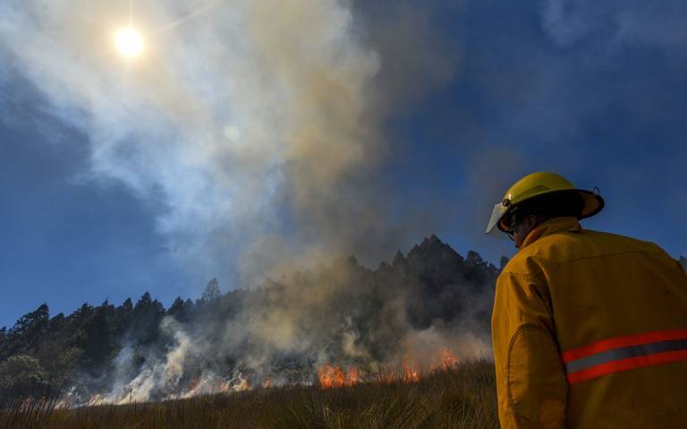 Habría incendios y fallecimientos por altas temperaturas en Veracruz: biólogo