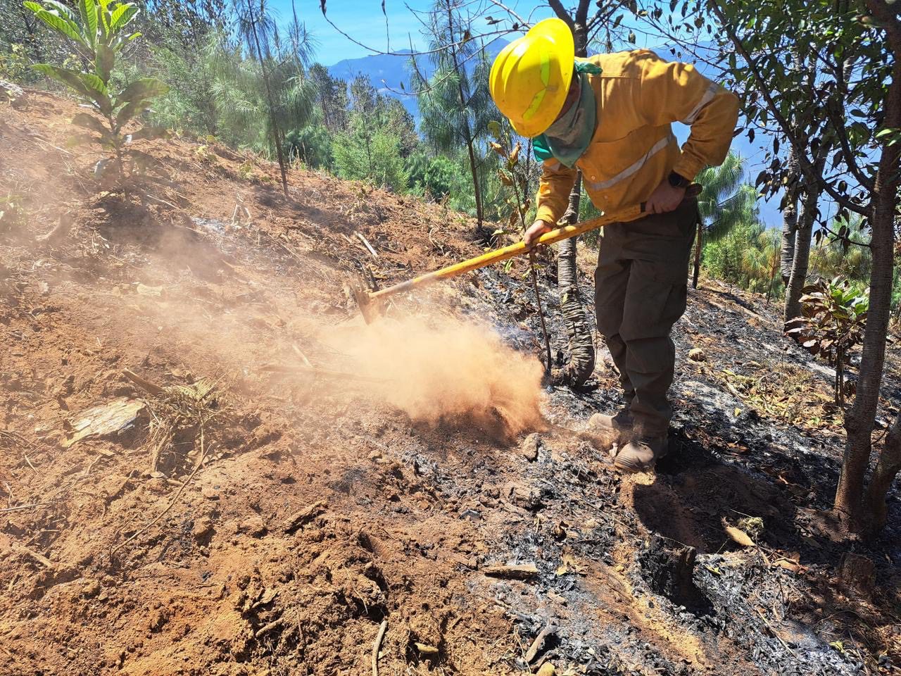 Incendios forestales consumen más de 2 mil hectáreas en Veracruz