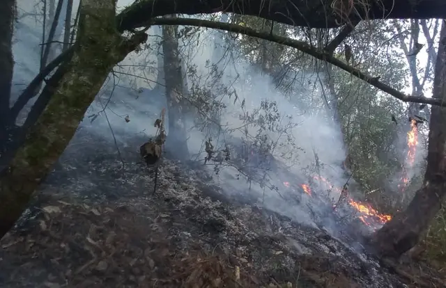 Captan a sujetos que intentaron incendiar zona devastada en Nogales