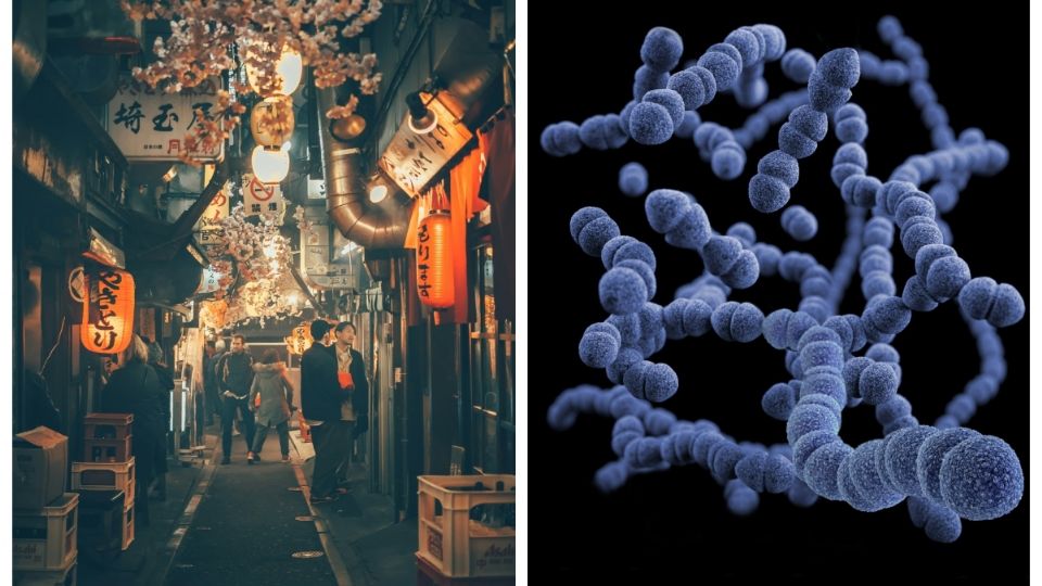 Bacteria carnívora se extiende a otros países más allá de Japón