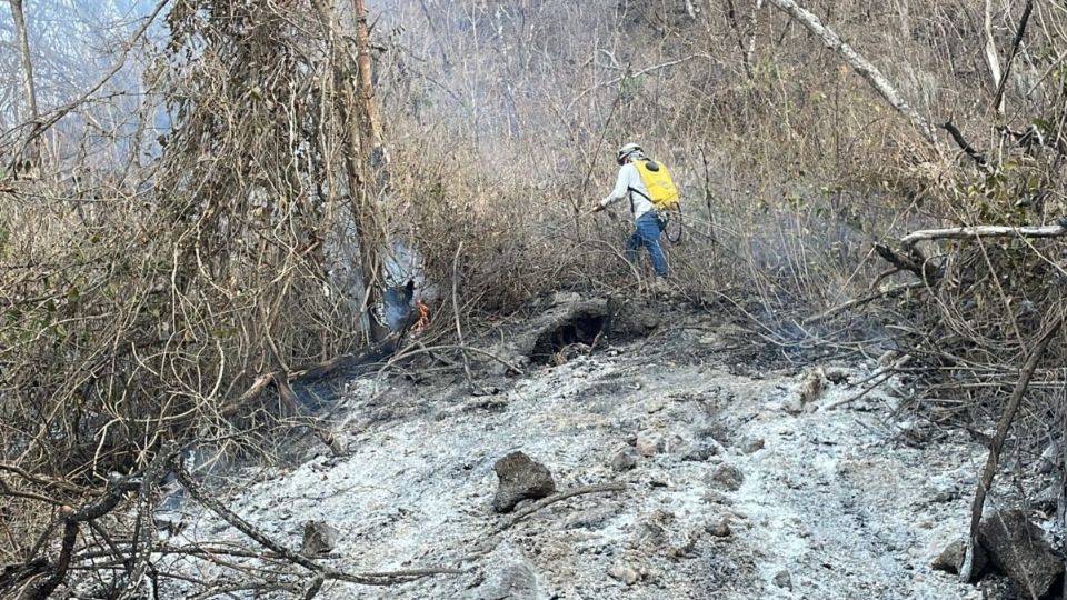 ¿Pirómano, posible causante de incendios en Chiapas?