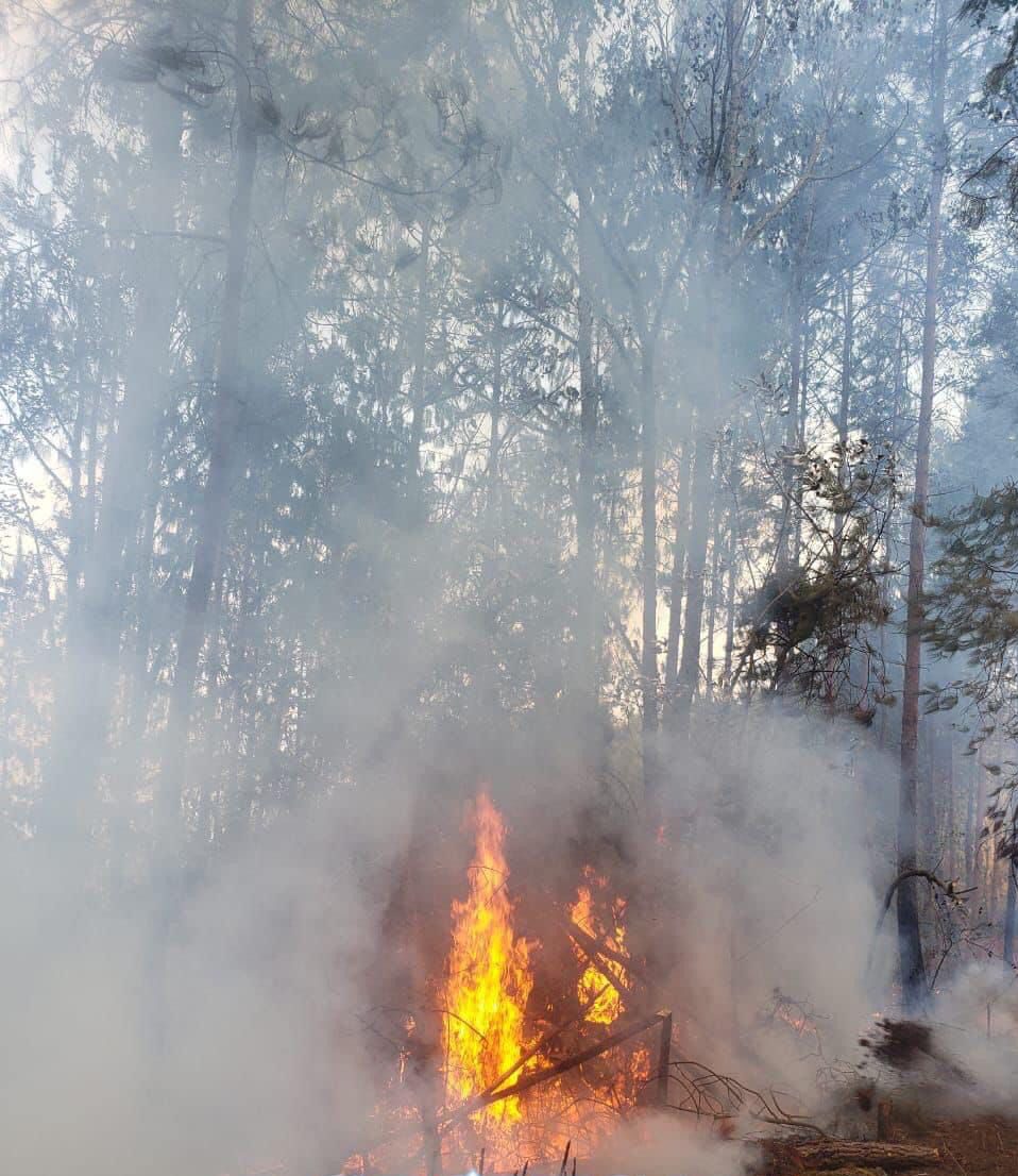 Conafor pide a pobladores que prevengan incendios forestales en Veracruz