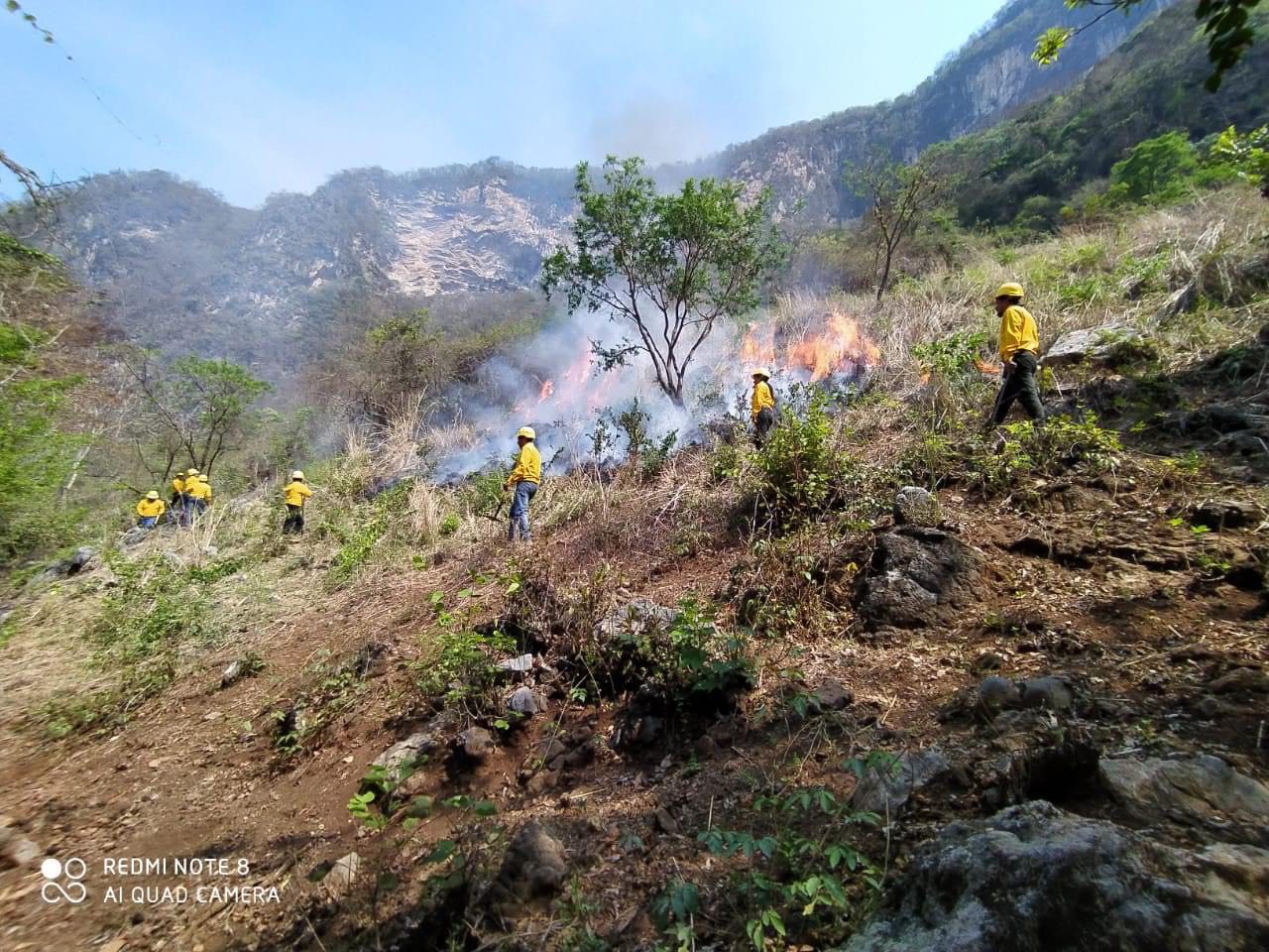 10 municipios de Veracruz concentran el mayor número de incendios forestales: Conafor