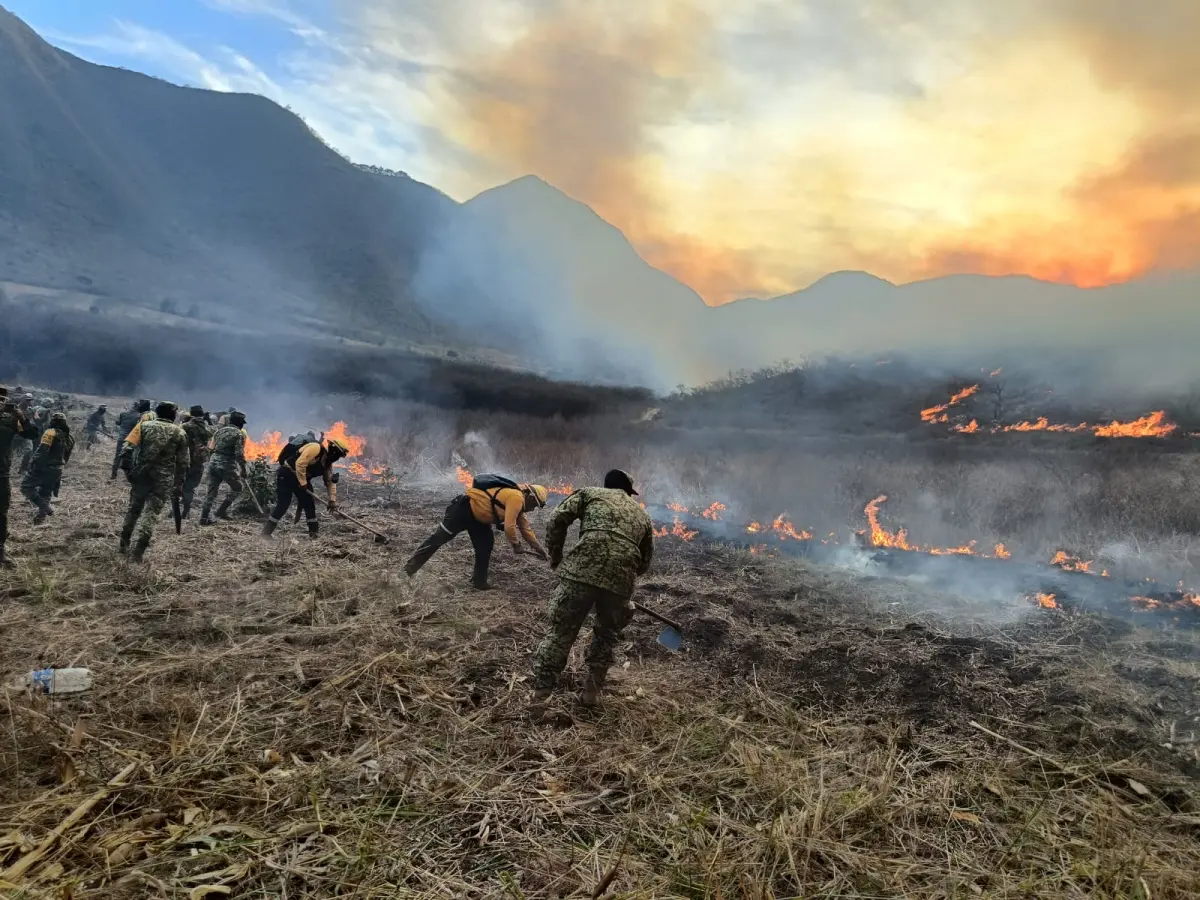 Van casi 700 hectáreas devastadas por incendios en Las Altas Montañas