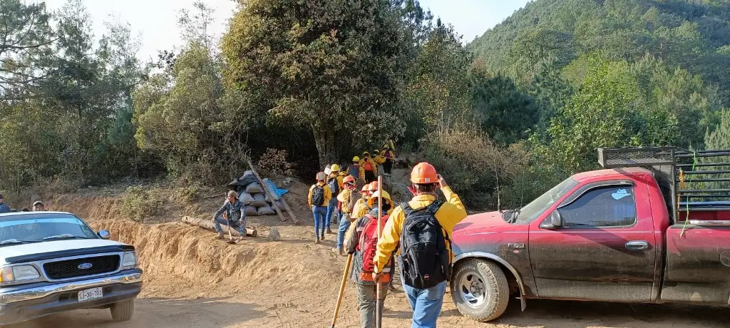 Elementos de PC atienden incendio forestal activo en Atlahuilco