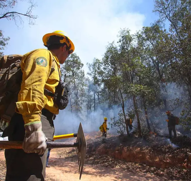 Aún hay 84 incendios activos; más de 3 mil personas combaten siniestros: López Obrador