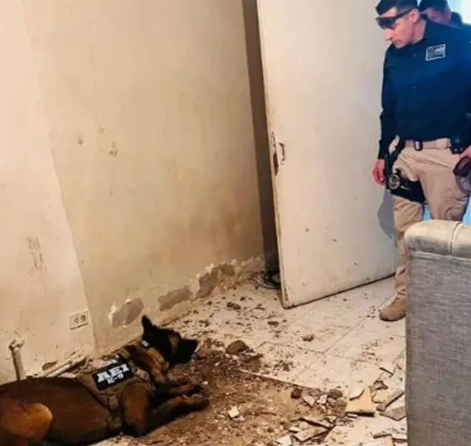 Encuentran tres cuerpos sepultados dentro de una vivienda en Ciudad Juárez, Chihuahua