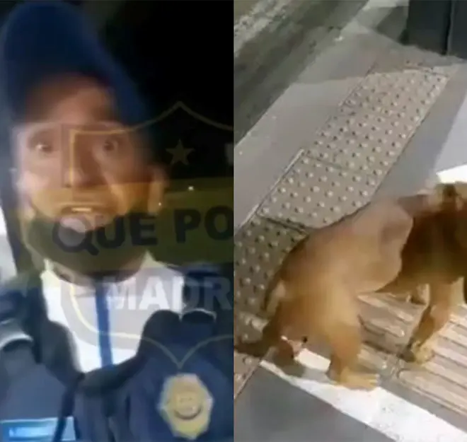 Suspenden a policía que le dio palazos a perrito en Metrobús CDMX