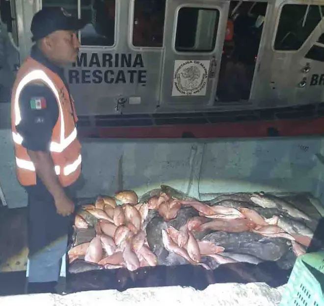 Semar asegura embarcación y tripulación por pesca ilegal en Yucatán