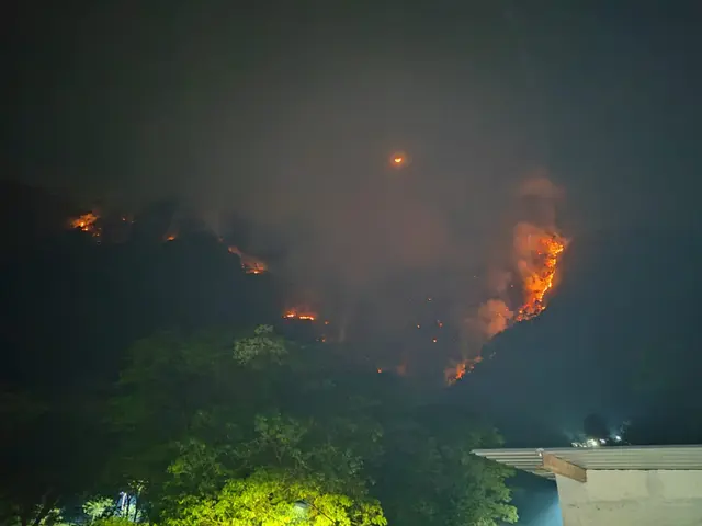 En horas, incendio forestal devasta 15 hectáreas en Río Blanco