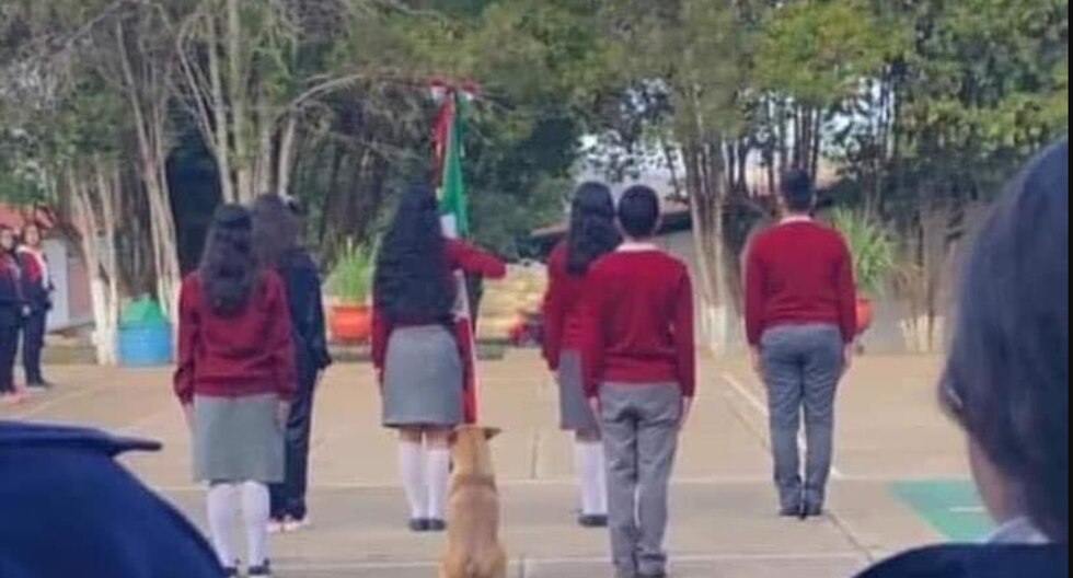 Escuela adopta a perrito que se hizo viral por marchar en la escolta