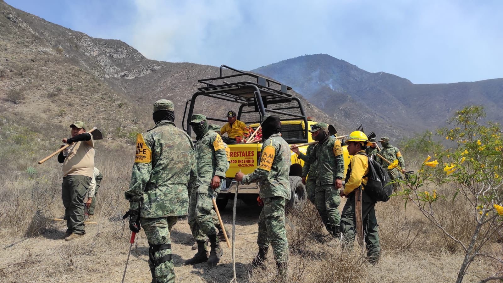 Aún activos 2 incendios forestales en Veracruz: Conafor