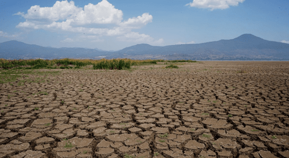 Tienen 128 municipios veracruzanos algún grado de sequía: Conagua