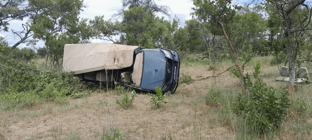 Elefante ataca a un grupo de turistas y mata a una mujer en safari de Zambia