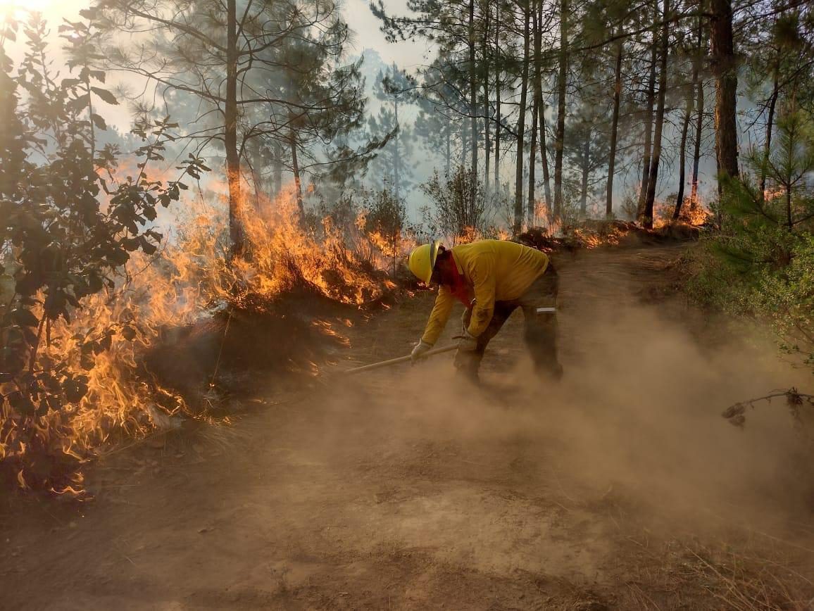 Actividades humanas ocasionan 99% de incendios: Conafor