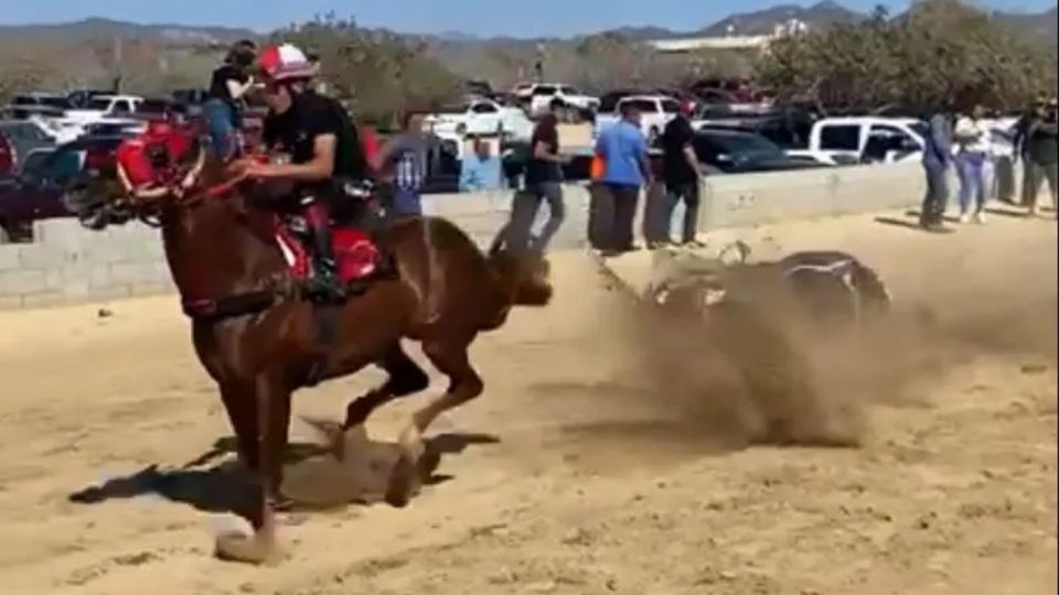 Caballos desbocados aplastan y matan a 2 personas durante carrera clandestina en Sinaloa