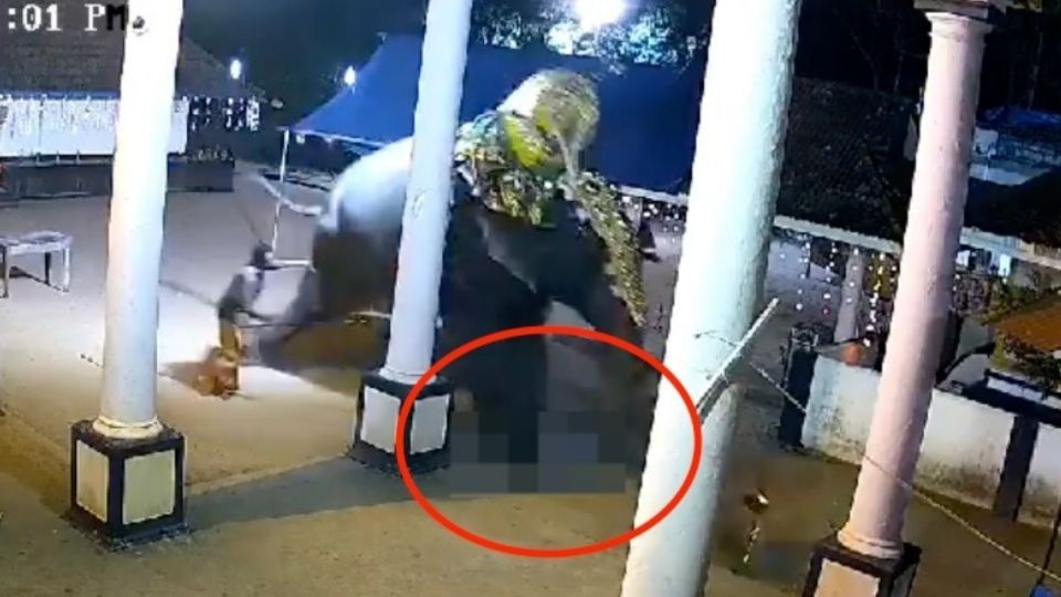 Elefante aplasta a un hombre y lo mata en plena presentación en vivo