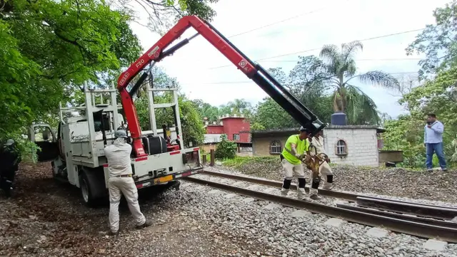 Tren de Ferrosur a punto de descarrilarse moviliza a policías en Córdoba