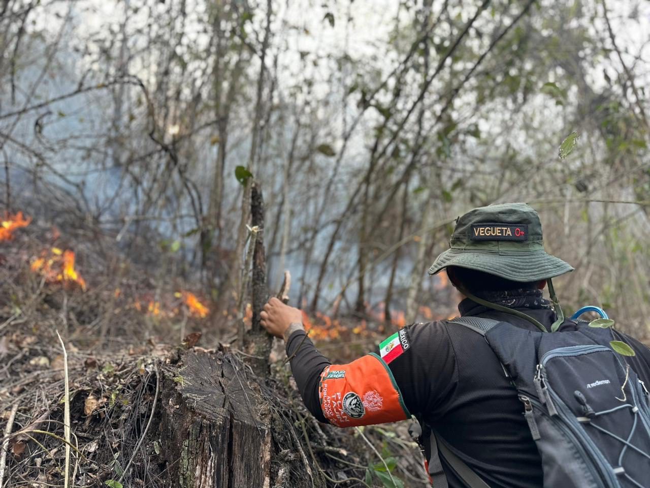 Conafor reporta tres incendios activos en Veracruz