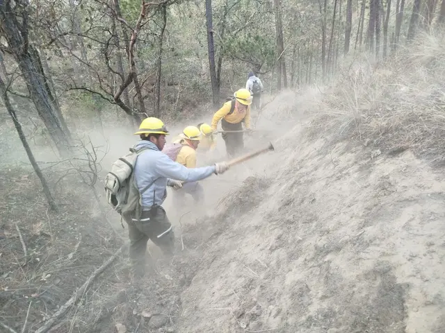 Liquidan último incendio activo en Las Altas Montañas de Veracruz