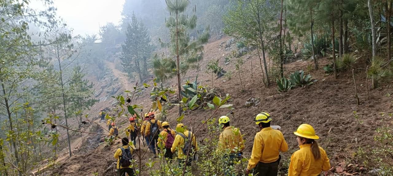 Veracruz, octavo lugar nacional en incendios forestales