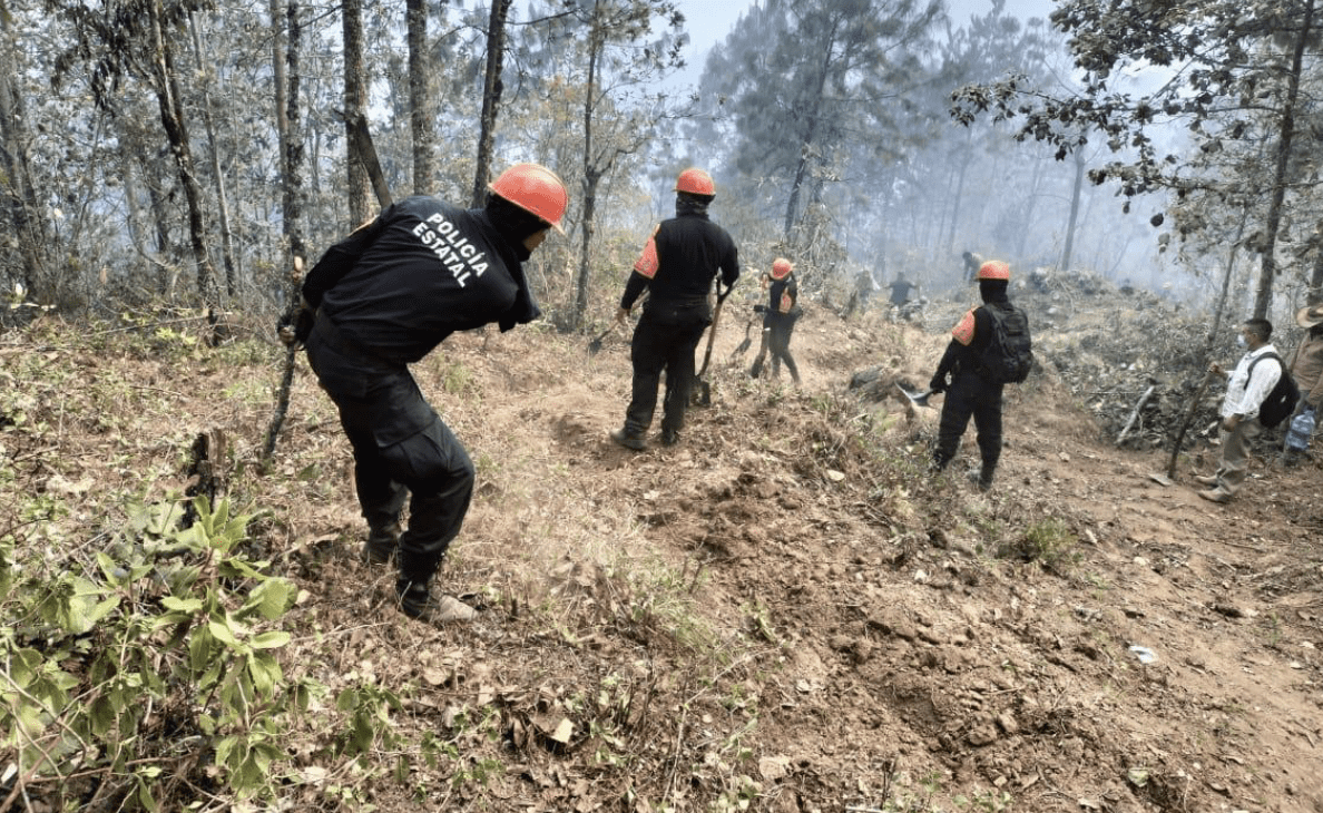 Reporta Conafor un incendio forestal liquidado y tres activos