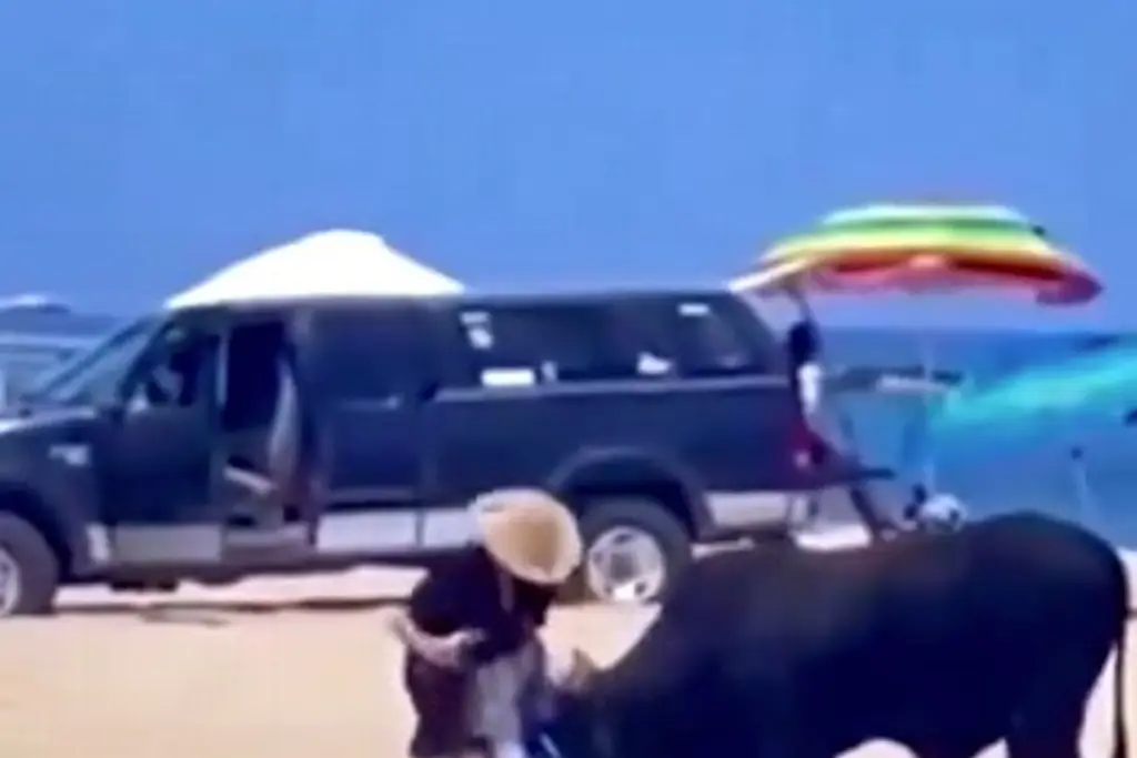 Toro suelto en la playa sorprende a bañistas; hay 2 mujeres lesionadas