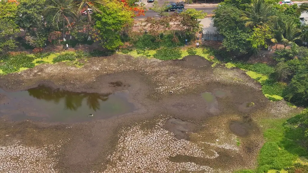 Estiaje pega a laguna de Lagartos en Veracruz; van por su rescate