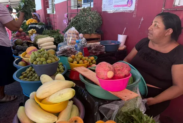 Por ola de calor se queman y secan cultivos en el sur de Veracruz