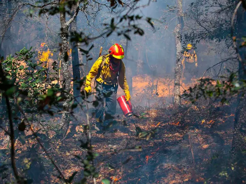 México vive un infierno, 205 incendios forestales siguen activos