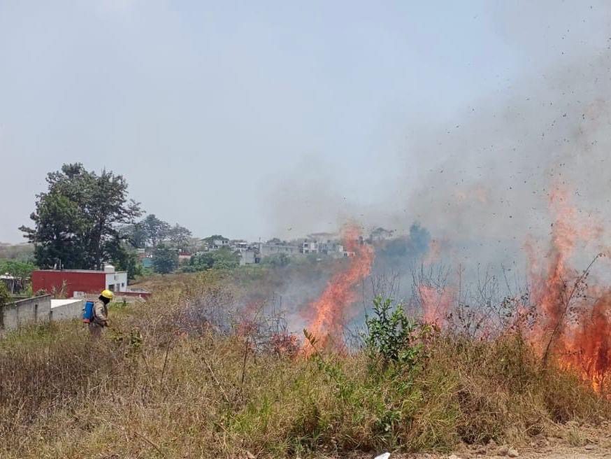 Atienden 8 incendios de pastizales al día en Emiliano Zapata