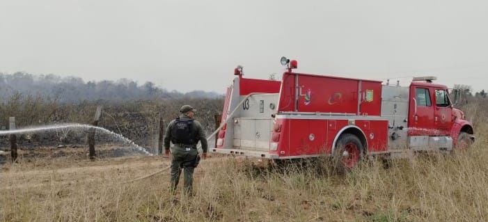 Conafor reporta que 5 incendios forestales siguen activos en Veracruz