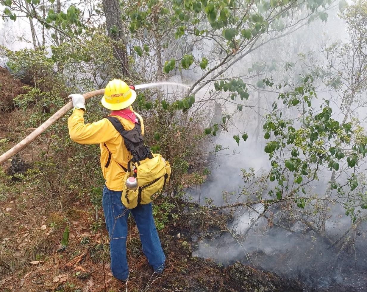 Gobierno estatal informa situación de incendios activos en territorio veracruzano