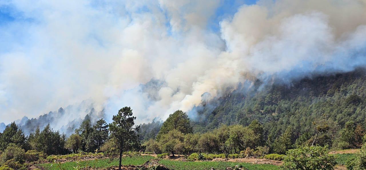 Piden apoyo alimenticio para combatientes de incendios forestales de Xico