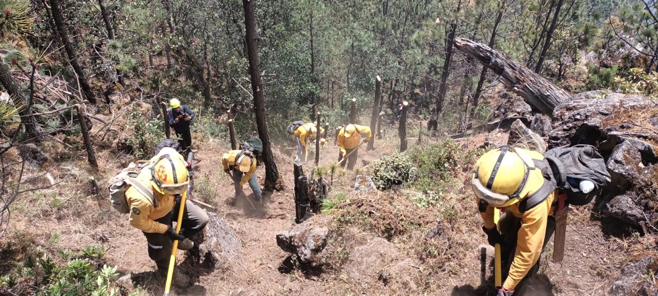 Sube a 23 cifra de incendios forestales activos en Veracruz