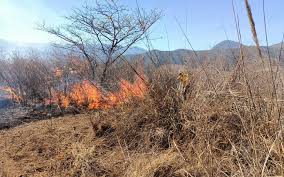 Van 125 incendios forestales en Veracruz